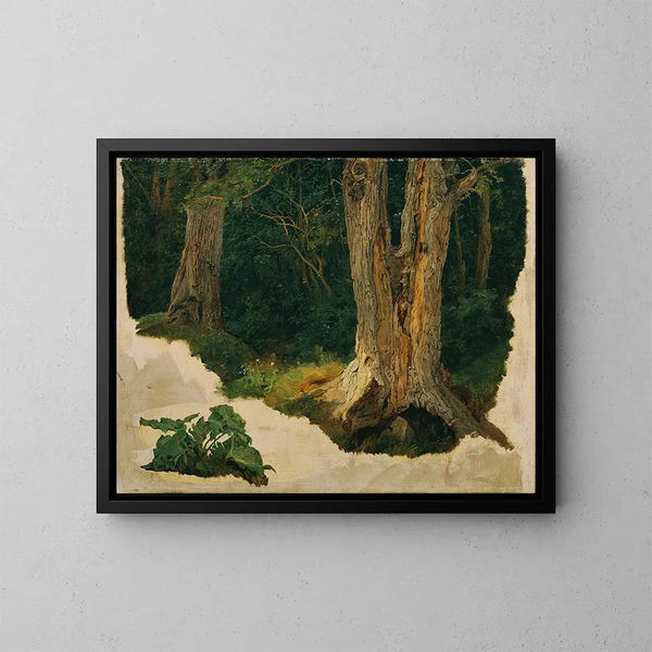 Study of a Tree - Ferdinand Georg Waldmüller — framed artwork on a wall
