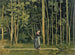 van Ferdinand Hodler | Schilderij Wandelingen langs de rand van een bos — weergave van het kunstwerk