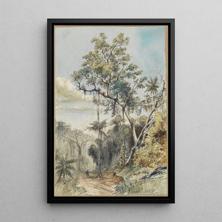Ferdinand Keller - Farbige Baumstudie im Urwald an einem Weg.webp