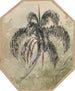 Studie van een palmboom in een jungle - Ferdinand Keller — weergave van het kunstwerk