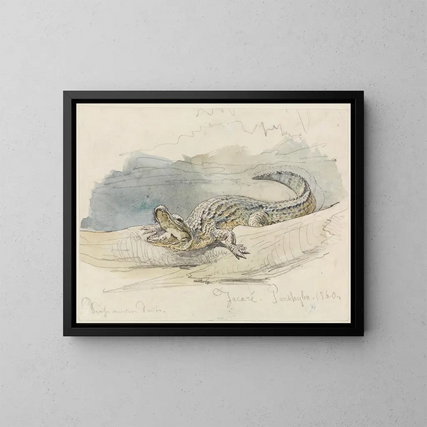 Study of an Alligator - Ferdinand Keller — framed artwork on a wall