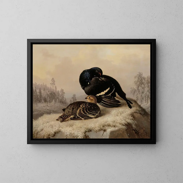 Tétras lyre mannetje en vrouwtje - Ferdinand von Wright — ingelijst kunstwerk aan de muur