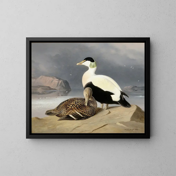 Twee eenden - Ferdinand von Wright — ingelijst kunstwerk aan de muur