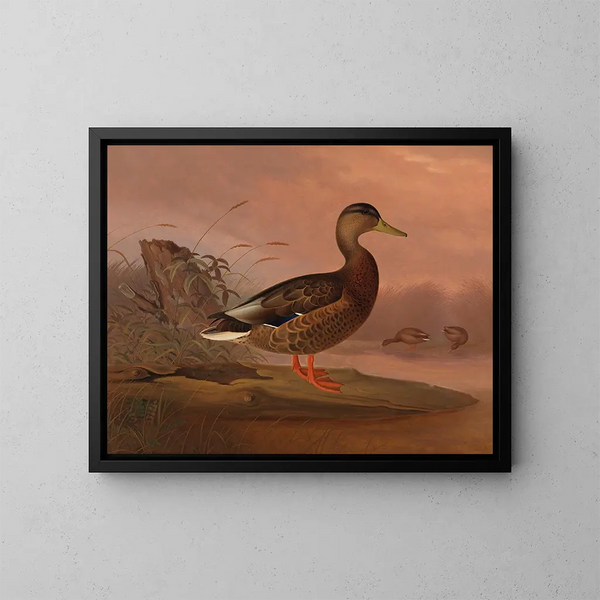 Eend (Kanadagans) - Ferdinand von Wright — ingelijst kunstwerk aan de muur