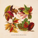 Feuilles d'automne numéro 2 - Louis Prang Co — artwork view