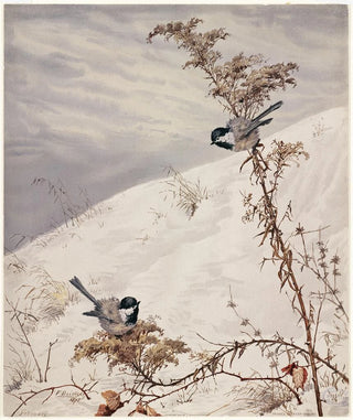 Fidelia Bridges - August.webp