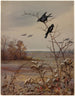 November - Fidelia Bridges — weergave van het kunstwerk