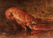 Natuurstudie met kreeft - Félix Ziem — weergave van het kunstwerk