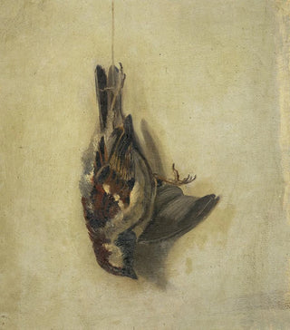 Floris Verster - Dead sparrow on a string.webp