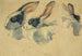Lapins - Floris Verster — artwork view
