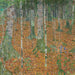 Bos van berkenbomen - Gustav Klimt — weergave van het kunstwerk