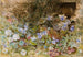 Marguerites et violettes - Frances Fanny Wilmot Currey — weergave van het kunstwerk