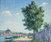 De populier, zonneschijn-effect in Villeneuve-sur-Yonne - Francis Picabia — weergave van het kunstwerk