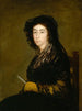 mevrouw Amalia Bonells de Costa - Francisco de Goya — weergave van het kunstwerk