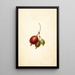 Mountain Ribes Painting - Frank Muller — framed artwork on a wall