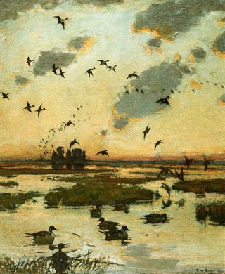 Frank Weston Benson - The Duck Marsh.webp