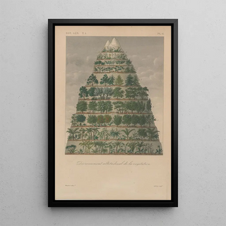 Franois Hrincq - Traite de botanique generale Pl006.webp