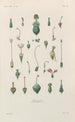 Traité de botanique générale Pl069 - François Hérincq — weergave van het kunstwerk