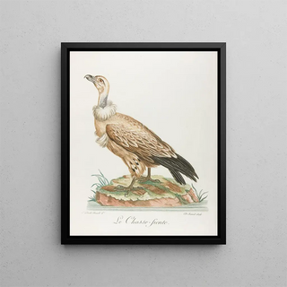 Franois Levaillant - Le chassefiente.webp