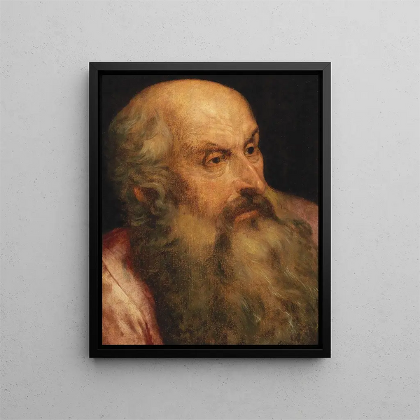 Study of a bearded man - Frans Floris — framed artwork on a wall