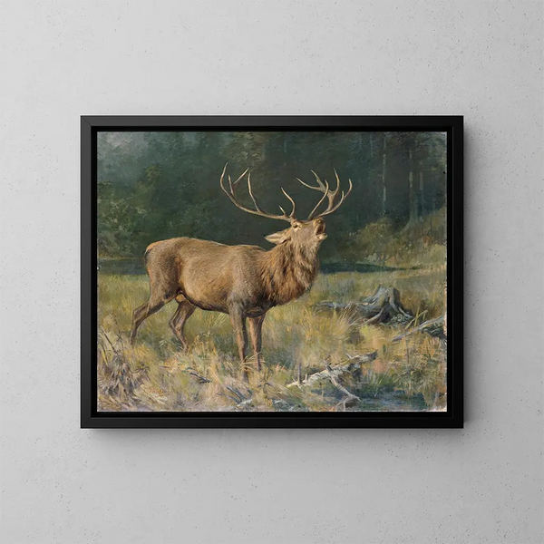 Deer brown - Franz Xaver von Pausinger — framed artwork on a wall