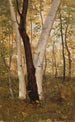 in het bos Hudson New York - Frederic Edwin Church — weergave van het kunstwerk