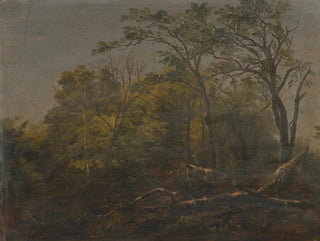 Frederic Edwin Church - Maine Woods.webp