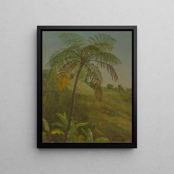 Palmboom Jamaica - Frederic Edwin Church — ingelijst kunstwerk aan de muur