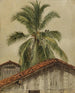 Palmbomen en daken van huizen in Ecuador - Frederic Edwin Church — weergave van het kunstwerk