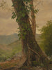 Boom met wijnstokken Jamaica Antillen - Frederic Edwin Church — weergave van het kunstwerk