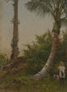 Arbres en Jamaïque Antillen - Frederic Edwin Church — weergave van het kunstwerk