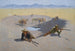 Strijd om de waterpunt - Frederic Remington — weergave van het kunstwerk