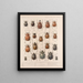 Insecten Kevers Pl 020 - Frederick Du Cane Godman — ingelijst kunstwerk aan de muur