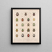Insecten Kevers Pl 022 - Frederick Du Cane Godman — ingelijst kunstwerk aan de muur