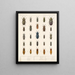 Insecten Kevers Pl 067 - Frederick Du Cane Godman — ingelijst kunstwerk aan de muur