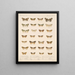 Insecten Lepidoptera Heterocera Pl 056 - Frederick Du Cane Godman — ingelijst kunstwerk aan de muur