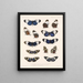 Insecten Lepidoptera Rhopalocera Pl 018 - Frederick Du Cane Godman — ingelijst kunstwerk aan de muur