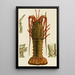 Crustaceans I - Frederick McCoy — framed artwork on a wall