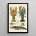 Crustaceans II - Frederick McCoy — framed artwork on a wall