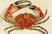 Crustaceën IV - Frederick McCoy — weergave van het kunstwerk