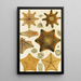 Echinoderms - Frederick McCoy — framed artwork on a wall