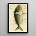 V Fish Painting - Frederick McCoy — framed artwork on a wall