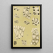 Bryozoaires VI - Frederick McCoy — ingelijst kunstwerk aan de muur