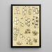 Bryozoaires XVII - Frederick McCoy — ingelijst kunstwerk aan de muur