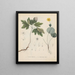 Livre sur les plantes toxiques Pl19 - Friedrich Berge — framed artwork on a wall