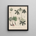 Boek over giftige planten Pl53 - Friedrich Berge — ingelijst kunstwerk aan de muur