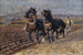 Twee zwarte paarden met de ploeg - Friedrich Eckenfelder — weergave van het kunstwerk