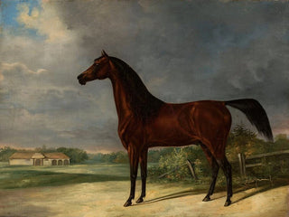 Friedrich Leopold Brde - Bay horse.webp