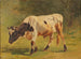 Stier - Friedrich Voltz — weergave van het kunstwerk