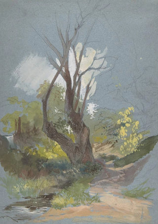 Friedrich von Nerly - Mountain Path with a Tree.webp